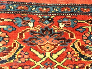 antique Bidjar Mafrash side. Size: approx. 50 x 50 cm. Great colors and perfect wool.                  