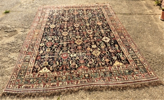 Perfect and rare Southpersian Kashkuli Mainrug. Wool on wool. Size: 310 x 209 cm. Wonderful colors. High perfect pile.              