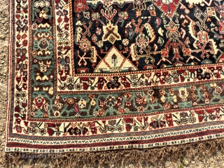 Perfect and rare Southpersian Kashkuli Mainrug. Wool on wool. Size: 310 x 209 cm. Wonderful colors. High perfect pile.              