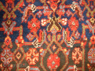 Very old Bidjar. Kurdish rug. Size: 210 x 119 cm. Full pile. Best quality of wool. foundation also wool. Nice colours.            