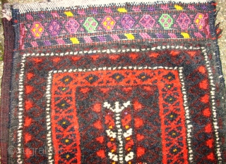 Beautiful Baluch Saltbag! Size: 61 x 48 cm. Good colors and ful pile. Perfect wool. Very good condition.               