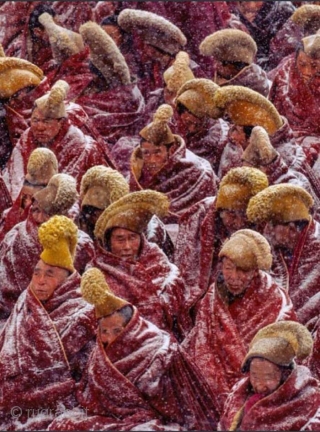 Tibet. An elaborate crescent shaped yellow pile-woven hat denoting monks of the Gelugpa sect (and hence are often referred to as the 'yellow hat' sect) and is worn during religious ceremonies. The  ...