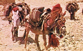 Tibetan horse trapping known as a 'takyeb'. Takyeb's were used for decorating the forehead of a horse, yak or dzo (a cross between a yak and a cow), and often seen on  ...