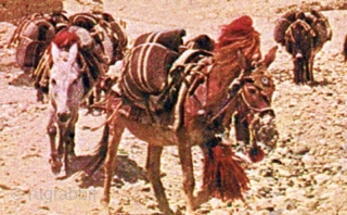 Tibetan horse trapping known as a 'takyeb'. Takyeb's were used for decorating the forehead of a horse, yak or dzo (a cross between a yak and a cow), and often seen on  ...