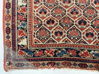 Antique large early south Persian bagface, possibly qashqai. Lovely example of an uncommon type. Nice fine weave. Soft supple handle. All excellent natural colors. Mostly decent even pile with scattered wear as  ...