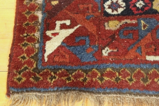 Antique large northwest persian kurdish rug. Extremely colorful example with thick high pile but years of dirt and several spots in need of restoration. All natural colors. Mostly wool foundation but some  ...