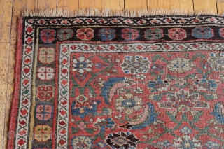 antique kurd bijar rug. Nice honest older floor rug with classic herati field. "as found", low pile with wear and brown oxidation as shown. With nice thick weave that even with wear  ...