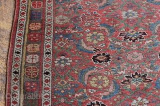 antique kurd bijar rug. Nice honest older floor rug with classic herati field. "as found", low pile with wear and brown oxidation as shown. With nice thick weave that even with wear  ...