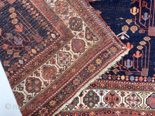 Antique Afshar rug with first rate color and bold eye catching drawing. The weaver paid great attention to the beautifully colored borders, even adding extra border panels at top and bottom. All  ...