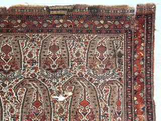 Antique south Persian ivory ground rug with large boteh, probably qashqai, in need of minor restoration. Overall even low pile with scattered small holes, likely old moth. I see a few small  ...