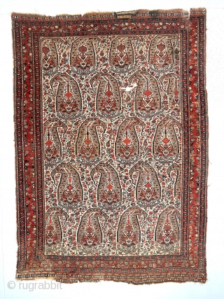 Antique south Persian ivory ground rug with large boteh, probably qashqai, in need of minor restoration. Overall even low pile with scattered small holes, likely old moth. I see a few small  ...