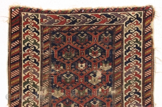 Antique caucasian shirvan rug. Well drawn field lattice and an archaic eye catching border with all natural colors featuring a lovely old grape purple and deep greens. Allover low pile with areas  ...