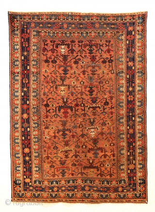 Antique Afshar rug. Terrific design. All wool. All good natural colors. Some good pile. Some very low pile. No repairs. Good age. Ca. 1880 rug. 3' 9" x 5' 2"
   