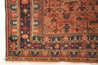 Antique Afshar rug. Terrific design. All wool. All good natural colors. Some good pile. Some very low pile. No repairs. Good age. Ca. 1880 rug. 3' 9" x 5' 2"
   
