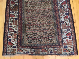 Older northwest Persian or Kurdish runner with camel ground. Overall fair condition with overall even low pile. Good colors. Interesting ivory main border. Little wider at one end. Little wiggly but reasonably  ...