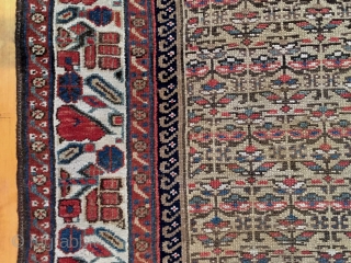 Older northwest Persian or Kurdish runner with camel ground. Overall fair condition with overall even low pile. Good colors. Interesting ivory main border. Little wider at one end. Little wiggly but reasonably  ...