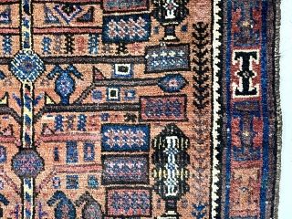 Antique small Baluch rug with a version of this spacious “tree in a vase” design. The unusual aspect of this rug is the diminutive size, probably 1/2 - 2/3 the size of  ...