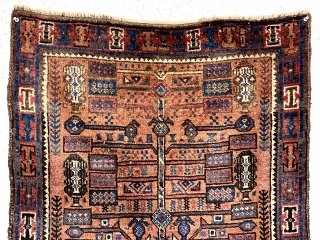 Antique small Baluch rug with a version of this spacious “tree in a vase” design. The unusual aspect of this rug is the diminutive size, probably 1/2 - 2/3 the size of  ...