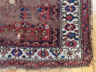 Spring cleaning. Old northwest Persian or Kurdish rug. Yes it’s very worn. Been here long time. I like the charming border with what I see as bird houses (I may be alone  ...