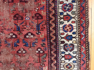 Spring cleaning. Old northwest Persian or Kurdish rug. Yes it’s very worn. Been here long time. I like the charming border with what I see as bird houses (I may be alone  ...