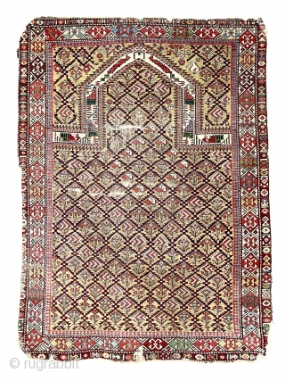 Antique yellow ground shirvan marasali prayer rug. Iconic little “birds” in the mihrab. Delicate lattice drawing with good variety of inset motifs. Overall very low pile with scattered wear and minor damages.  ...