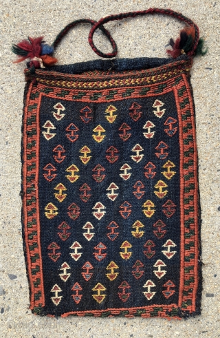 Antique complete small flat woven personal bag. Shahsavan? Charming little weaving with animals and trees on one side and diagonal bands of stylized plants on back. Appears to be mixed technique with  ...