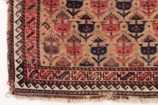 Antique small Baluch rug. Soft, supple and sophistacated. Older piece with very delicate drawing. All natural colors including a beautiful soft purple. Camel wool ground. Fair condition for the age with some  ...