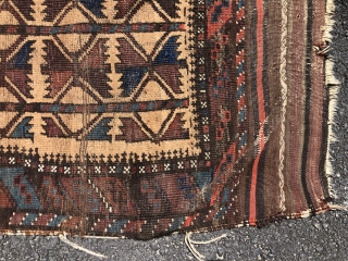 Antique camel ground Baluch rug with a bold and Interesting design of five large stylized tree motifs. Overall even low pile with some scattered wear, creases and a small hole near one  ...