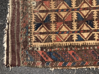 Antique camel ground Baluch rug with a bold and Interesting design of five large stylized tree motifs. Overall even low pile with some scattered wear, creases and a small hole near one  ...