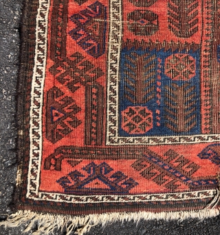 Antique Baluch rug with an interesting uncommon design. A version of the vine border I associate with older examples. In very rough condition but good enough for a study piece. Priced accordingly.  ...