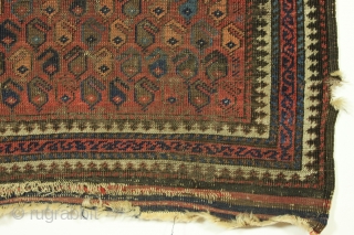 Antique baluch rug. Nice little rug just picked. Good design and all natural colors. Thin and very very low pile. Very very dirty. No repairs. Decent age, late 19th c. 2' 6"  ...