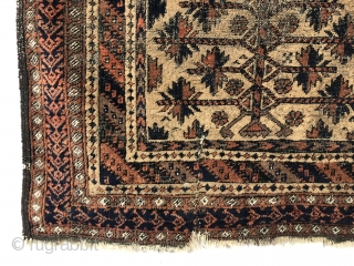 Antique camel ground Baluch prayer rug. Older example with good drawing and colors but very rough with wear and heavy brown oxidation. Priced accordingly. 3’1” x 4’7”      