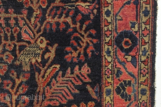 four bunnies of the apocalypse. Antique sarouk rug with four rabbits and six great birds. As found, very dirty with wear and end unraveling as shown. Old residual glue or rug pad  ...