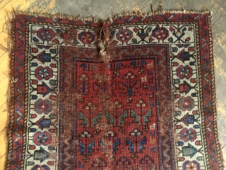 Antique northwest Persian or Kurdish rug or what remains of a rug. Has lovely old natural colors and charming drawing. I like the little border elements that look like houses. Lots of  ...