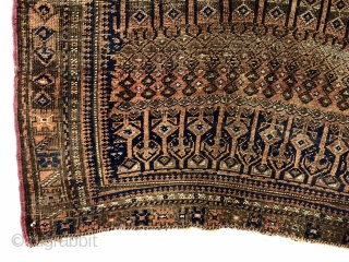 Antique Baluch rug with an interesting and probably unique design. The weaver went beyond free drawing to uber free drawing with three pieces completely different field designs on one rug. One could  ...