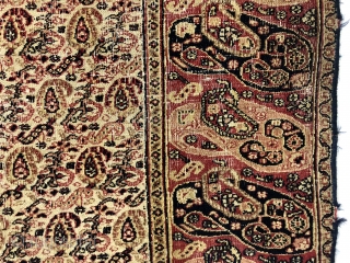 Antique small Persian rug with an appealing mother and daughter boteh border and an intricate ivory ground boteh lattice field. Unfortunately in rough condition with very low pile and much wear. Edges  ...