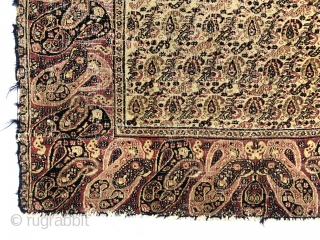 Antique small Persian rug with an appealing mother and daughter boteh border and an intricate ivory ground boteh lattice field. Unfortunately in rough condition with very low pile and much wear. Edges  ...