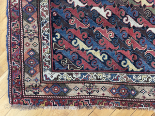 Antique northwest Persian or Kurdish corridor carpet. Eye catching field filled with colorful zoomorphic or botanical motifs ( you decide ). Lovely camel border. Mostly decent low pile with a small field  ...
