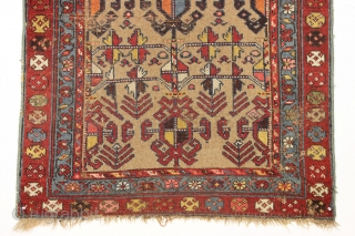 Antique camel ground NW Persian or kurdish rug. Extra colorful version of this known design. "As found" condition, very dirty and with an area of heavy wear as shown. Structurally sound. Good  ...