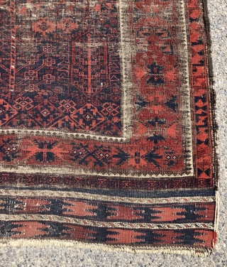 Early blue ground Baluch rug. A small timuri main carpet? Good variety of archaic field motifs and an elegant border. All natural colors. Overall thin with very low pile with areas of  ...