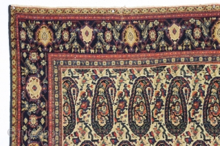 antique ivory ground persian senneh rug. Very nicely drawn and colored example in fair condition. Overall even low pile with no holes or tears and reasonably clean. "as found", reovercast sides with  ...