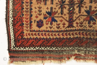 antique diminutive camel ground baluch prayer rug. Real camel wool. Overall fair condition and I see no repairs. Reasonably clean. Nice little authentic weaving. Late 19th c. 2'5" x 4'1"   