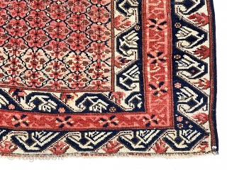 Antique Caucasian kuba or seichour rug. Unusual field design and iconic “running dog” borders. Overall good condition for the age with mostly even low pile. I see what looks like a small  ...