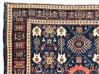 Antique Persian Senneh rug with an attractive and uncommon field design. Overall good condition for the age with nice even low pile. Lovely colors. I don’t see any repairs. Reasonably clean. Fresh  ...