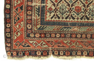 Antique caucasian shirvan prayer rug fragment. Almost half the rug. All good natural colors. Old piece with great variety of plant designs in the lattice. Very very dirty. All manner of damage  ...