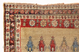 antique camel ground kurd bijar rug. Unusual and interesting design and nice squarish size. "as found", in much abused condition with wear and edge damage as shown. few knots of old crude  ...