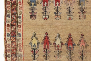 antique camel ground kurd bijar rug. Unusual and interesting design and nice squarish size. "as found", in much abused condition with wear and edge damage as shown. few knots of old crude  ...