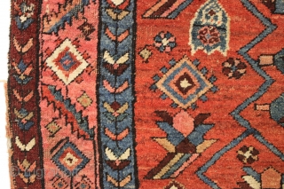 antique little northwest Persian rug with an eye catching design. Beautiful colors. Unfortunately another rug ravaged by wolves. Great repair project. ca. 1900-1920.
4'2" x 5'6"        