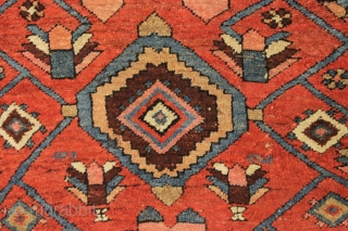 antique little northwest Persian rug with an eye catching design. Beautiful colors. Unfortunately another rug ravaged by wolves. Great repair project. ca. 1900-1920.
4'2" x 5'6"        