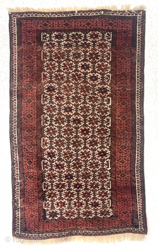 Antique small Baluch rug in reasonably good condition with an unusual field design. The overall lattice field with offset rows of delicate flowers I have not seen before. Nice floppy handle. Scattered  ...